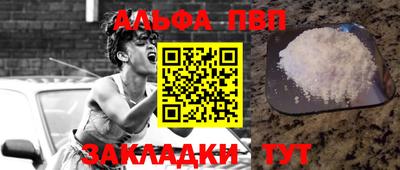 индика Ставрополь