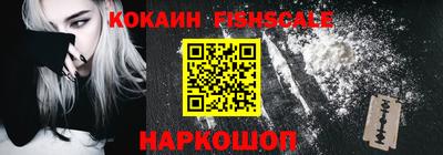 индика Ставрополь