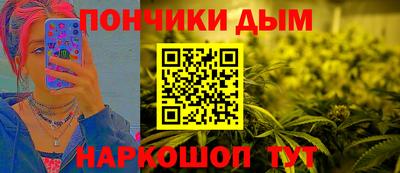 индика Ставрополь