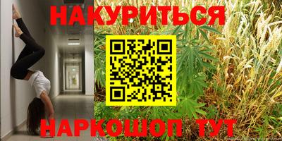 индика Ставрополь